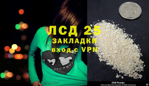 мескалин Ельня
